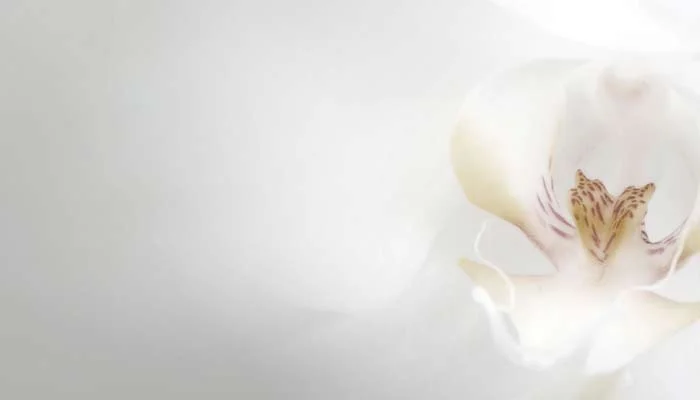 teks puisi pernikahan singkat