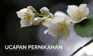 ucapan pernikahan