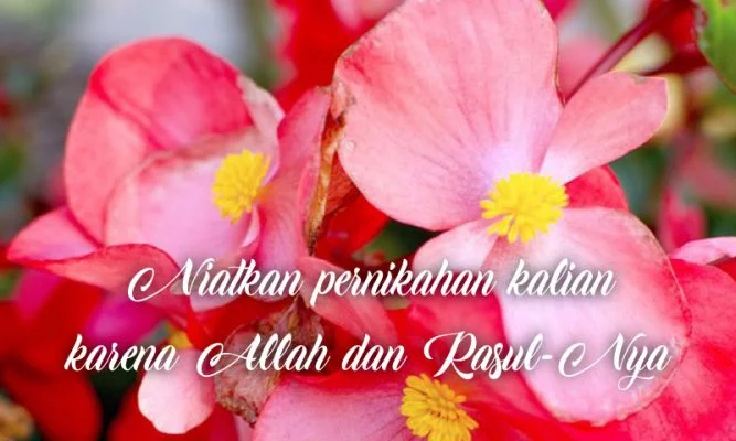 ucapan pernikahan terbaik